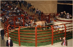 DSC_3605.JPG