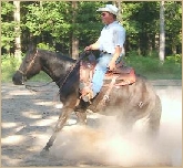 Rhett Rooster Glo- Smith.jpg