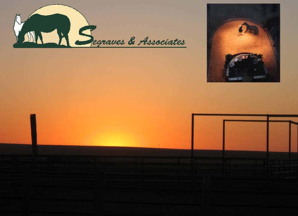 Scenery 35 sunrise wlogo.jpg