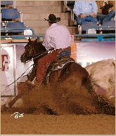 dualling fletch0001.jpg